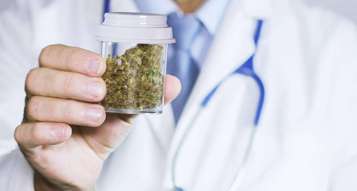 QUANTI TIPI DI CANNABIS ESISTONO IN COMMERCIO E CHE DIFFERENZA C’È CON LA CANNABIS DA STRADA?