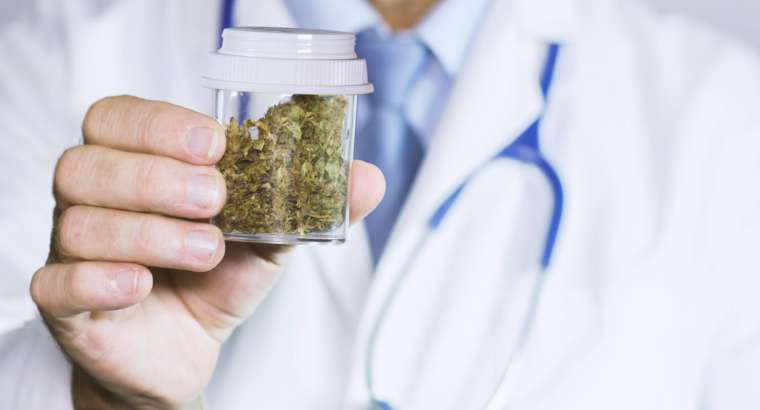QUANTI TIPI DI CANNABIS ESISTONO IN COMMERCIO E CHE DIFFERENZA C’È CON LA CANNABIS DA STRADA?