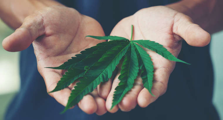 USO DELLA CANNABIS NEI PAZIENTI ONCOLOGICI
