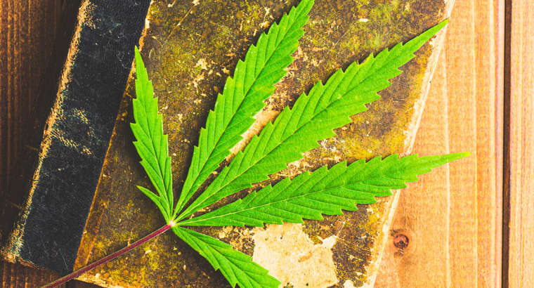 Dr. Poli, prefazione del nuovo libro sulla Cannabis